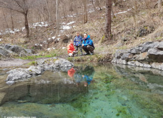 Минералните извори на с. Железница (ОБНОВЕНА)