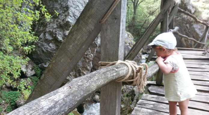 По време на прехода