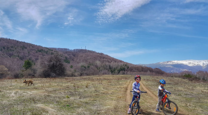 Велоизлет в Плана планина – с колело от Белите брези до Дяволския мост Велоизлет в Плана планина