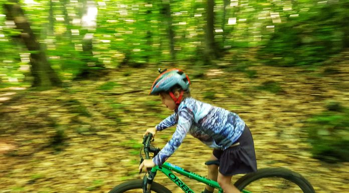 Кино-център Бояна – Копитото – „Кривата“ пътека