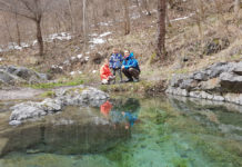 Минералните извори на с. Железница (ОБНОВЕНА)