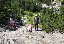 Приятна лека разходка от х. Бъндерица – езеро Окото