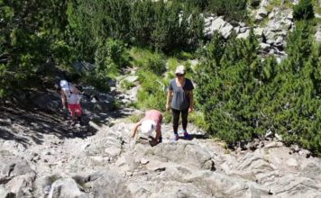 Приятна лека разходка от х. Бъндерица – езеро Окото