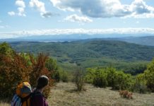 До връх Половрак, Лозенска планина