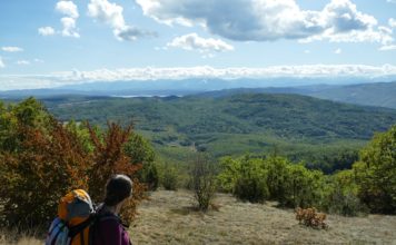 До връх Половрак, Лозенска планина