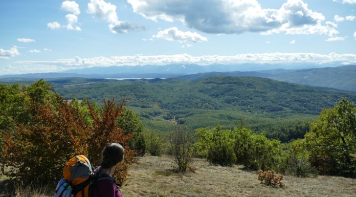 До връх Половрак, Лозенска планина