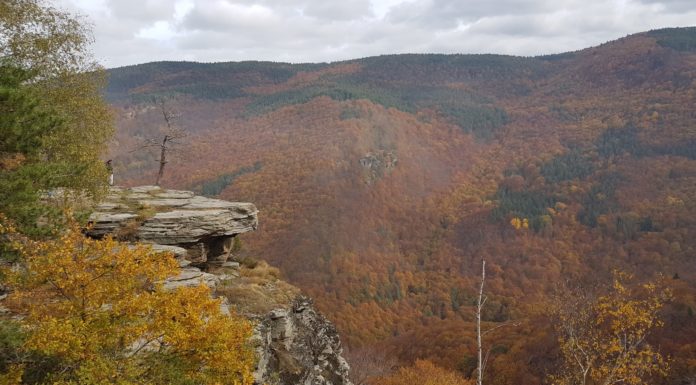 Родопите есенно – Панорамна скала край Равнища, с Дедево Панорамна скала край Равнища