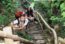 Екопътека Боров камък – едно лятно приключение