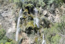 Полска Скакавица Полска скакавица