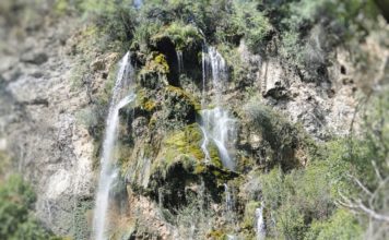 Полска Скакавица Полска скакавица