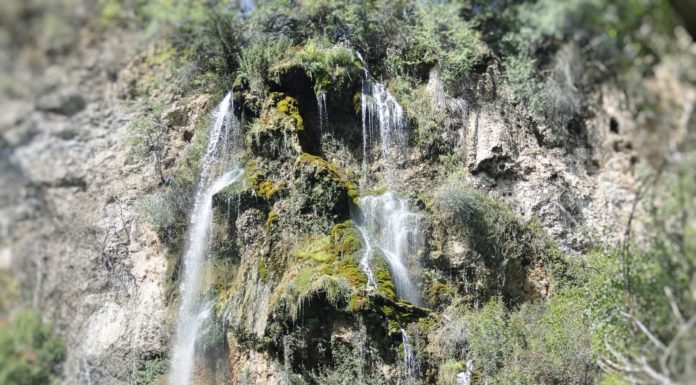 Полска Скакавица Полска скакавица