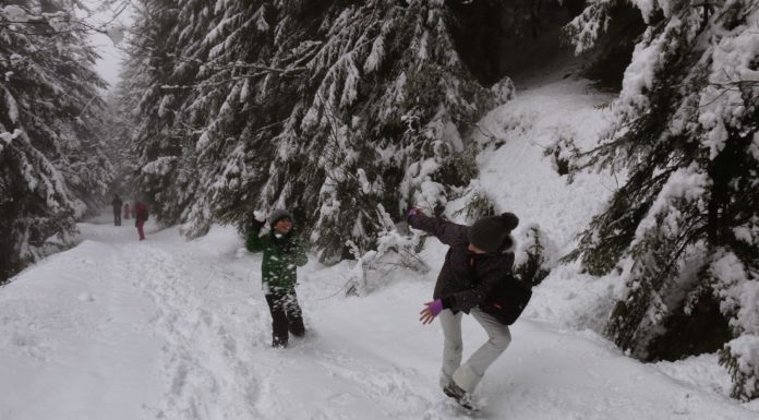 Зимно из Рила – разходка към хижа Скакавица