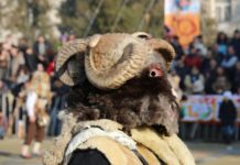 Кукерски фестивал Сурва, Перник