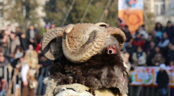 Кукерски фестивал Сурва, Перник