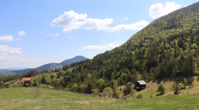 Ден 5: До извора на р. Арда