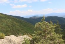 С Родопската теснолинейка до Пашови скали