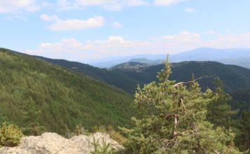 С Родопската теснолинейка до Пашови скали