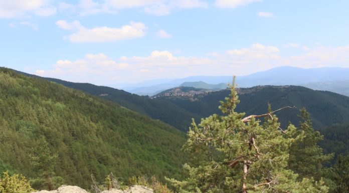 С Родопската теснолинейка до Пашови скали