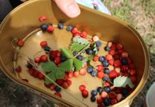 На лов за диви плодове в Рила: с. Добърско – х.Добърско