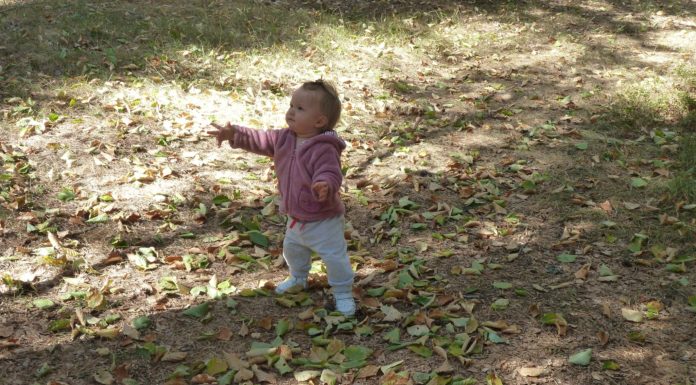 Прохождане около х. Здравец – и това ако не е поличба…