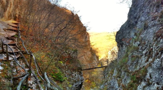 Ябланишкото ждрело край с. Банкя