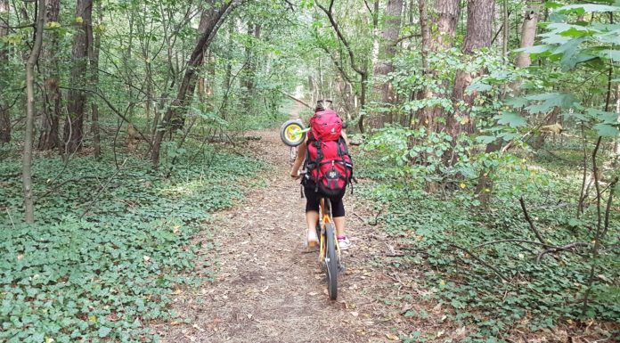 Фън в София