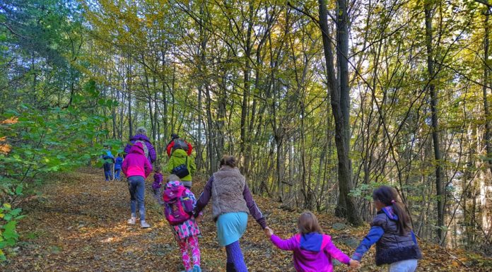 Възраст и възможности