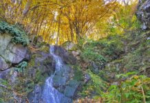 До Алековите водопади на Витоша