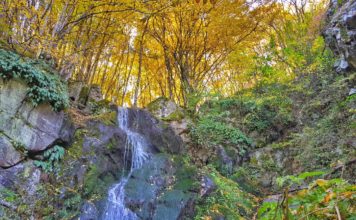 До Алековите водопади на Витоша