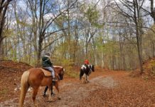 Разходка на коне край Княжево