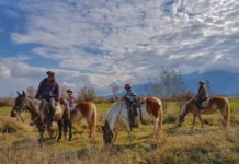 На коне из Разложката котловина