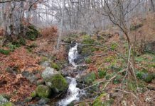 Копитото – Боянски водопад