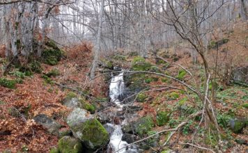 Копитото – Боянски водопад