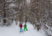 На Ски от Алеко до Симеоново