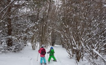 На Ски от Алеко до Симеоново