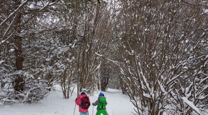 На Ски от Алеко до Симеоново