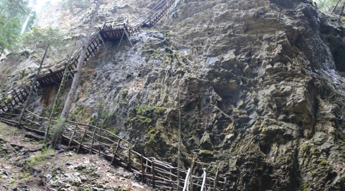 Счупен адреналинометър на Дяволската екопътека край Борино Дяволската екопътека