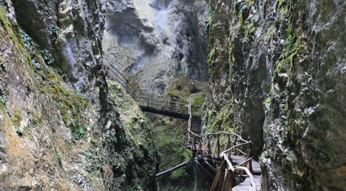 Преценка на риска – как да помогнем на децата да придобият това умение Дяволската екопътека