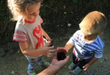 Войнежа – август 2016