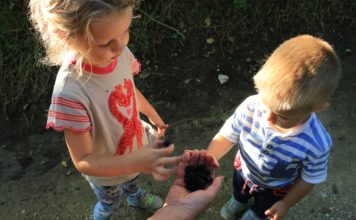 Войнежа – август 2016