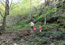 Екопътека „Под пръските на водопада“ край Тетевен