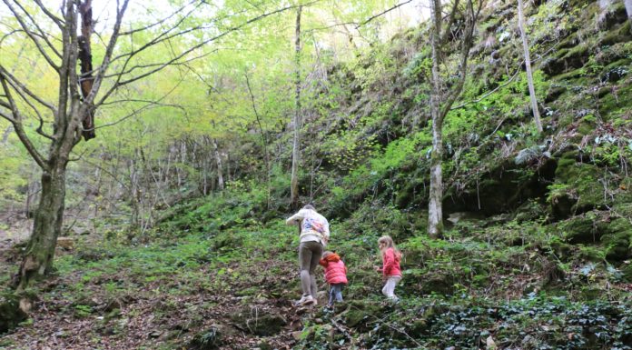 Екопътека „Под пръските на водопада“ край Тетевен