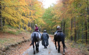 Цари Мали Град в един прекрасен дъждовен ден