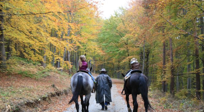 Цари Мали Град в един прекрасен дъждовен ден