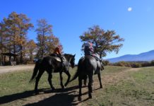 Отново до Цари Мали Град