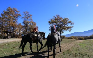 Отново до Цари Мали Град