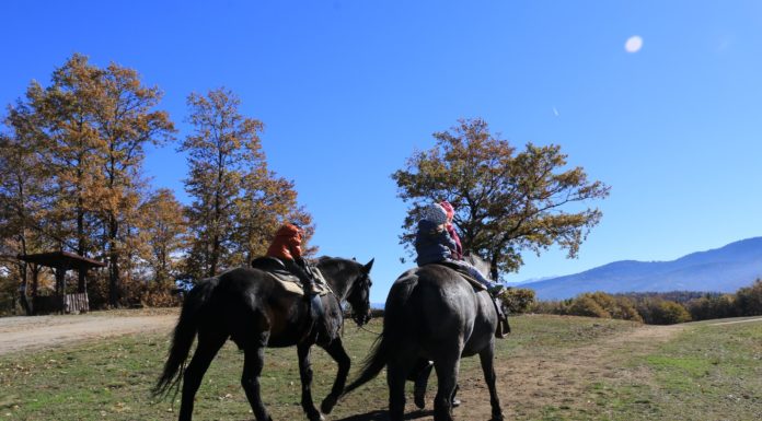 Отново до Цари Мали Град