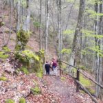 Пръчка в гората вместо таблет в ръката