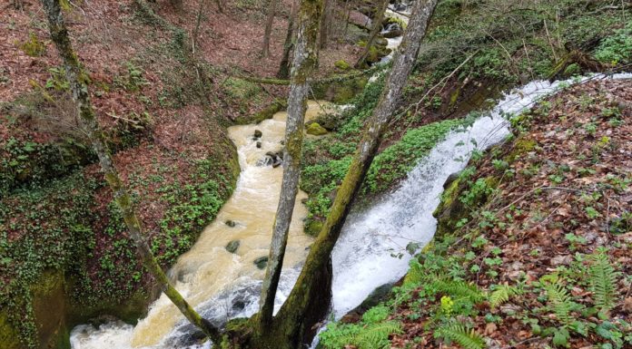 12 водопада в Беласица достъпни за деца