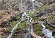 До водопад Скаловитец в Рила